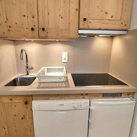 3 Pieces Avec Balcon Sud, Cheminee Et Wi-fi Gratuit, A Deux Pas Des Pistes - Fr-1-182-57